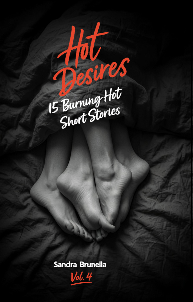 Hot Desires — Vol. 4 — Book cover